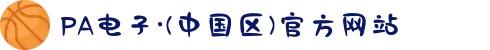 PA电子·(中国区)官方网站